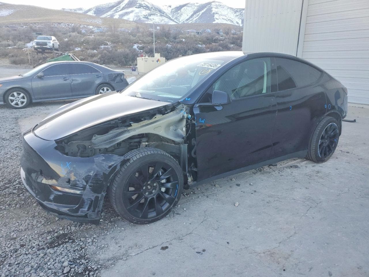 2020 Tesla Model Y
