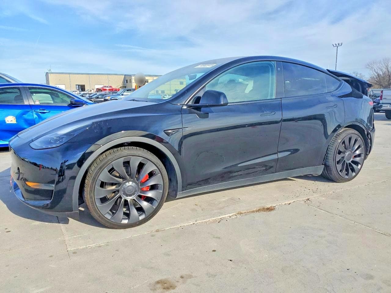 2023 Tesla Model Y