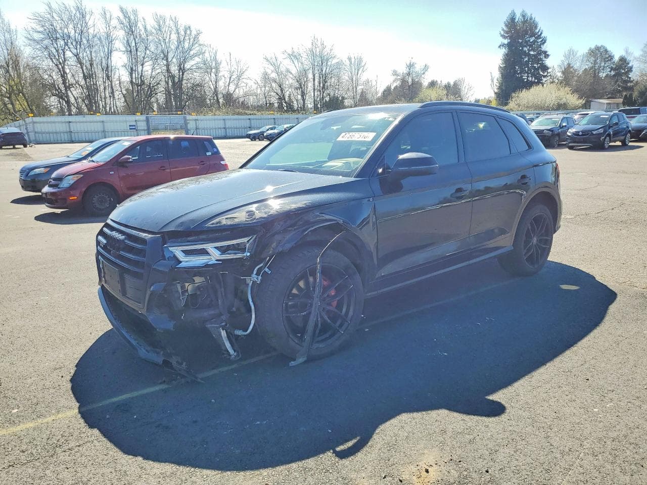 2019 Audi SQ5