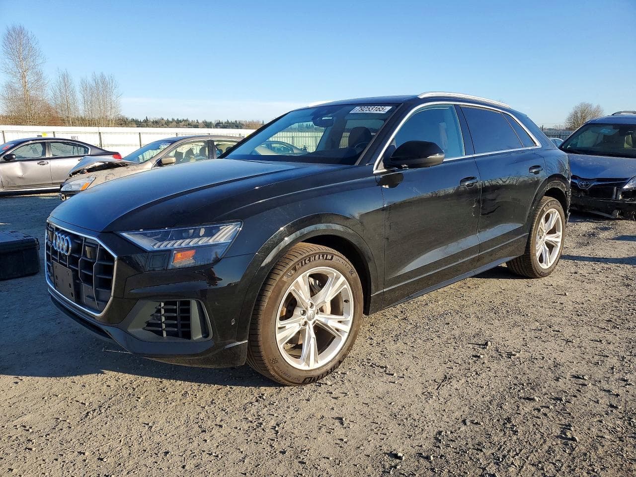 2019 Audi Q8